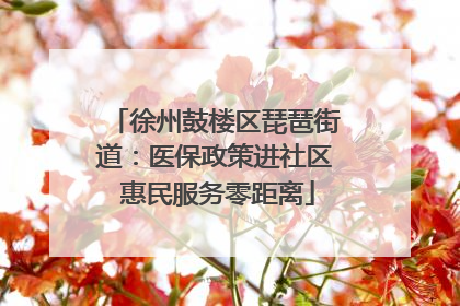 徐州鼓楼区琵琶街道：医保政策进社区 惠民服务零距离