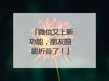 微信又上新功能，朋友圈能折叠了！