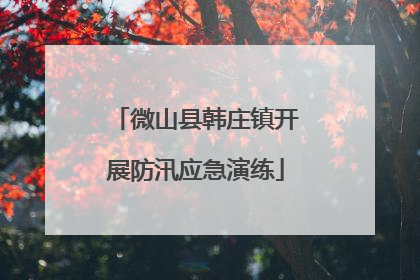 微山县韩庄镇开展防汛应急演练