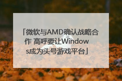 微软与AMD确认战略合作 高呼要让Windows成为头号游戏平台