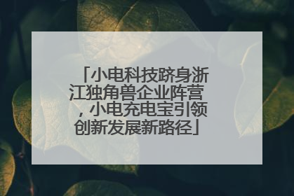 小电科技跻身浙江独角兽企业阵营，小电充电宝引领创新发展新路径