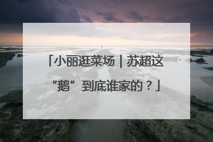 小丽逛菜场｜苏超这“鹅”到底谁家的？