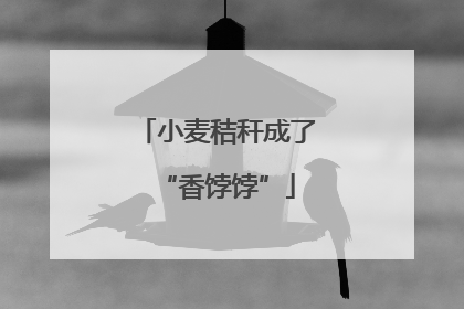小麦秸秆成了“香饽饽”