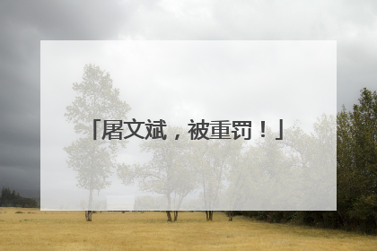 屠文斌，被重罚！