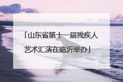 山东省第十一届残疾人艺术汇演在临沂举办