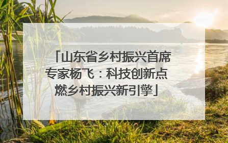 山东省乡村振兴首席专家杨飞：科技创新点燃乡村振兴新引擎