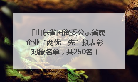 山东省国资委公示省属企业“两优一先”拟表彰对象名单，共250名（个）党员和党组织