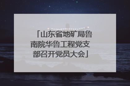 山东省地矿局鲁南院华鲁工程党支部召开党员大会