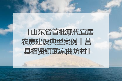 山东省首批现代宜居农房建设典型案例丨莒县招贤镇武家曲坊村