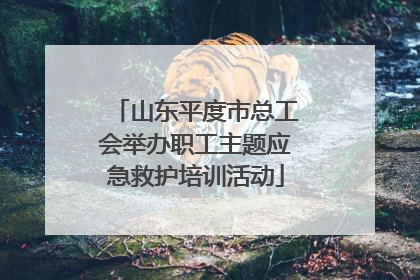 山东平度市总工会举办职工主题应急救护培训活动