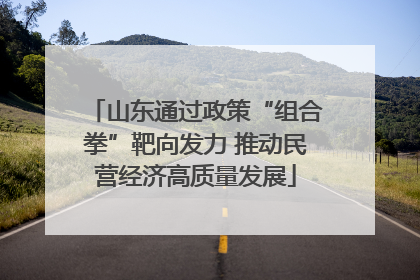 山东通过政策“组合拳”靶向发力 推动民营经济高质量发展