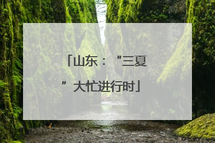 山东：“三夏”大忙进行时