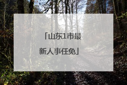 山东1市最新人事任免