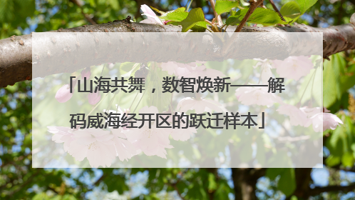山海共舞，数智焕新——解码威海经开区的跃迁样本