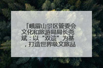 峨眉山景区管委会文化和旅游局局长尧斌：以“双遗”为基，打造世界级文旅品牌与国际典范