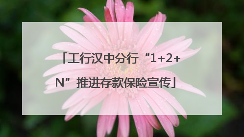 工行汉中分行“1+2+N”推进存款保险宣传