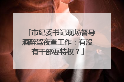 市纪委书记现场督导酒醉驾夜查工作：有没有干部耍特权？