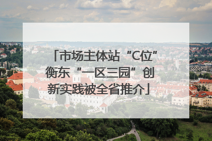 市场主体站“C位” 衡东“一区三园”创新实践被全省推介