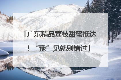 广东精品荔枝甜蜜抵达！“豫”见就别错过