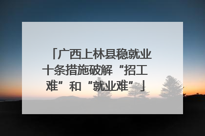广西上林县稳就业十条措施破解“招工难”和“就业难”