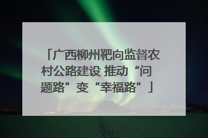 广西柳州靶向监督农村公路建设 推动“问题路”变“幸福路”