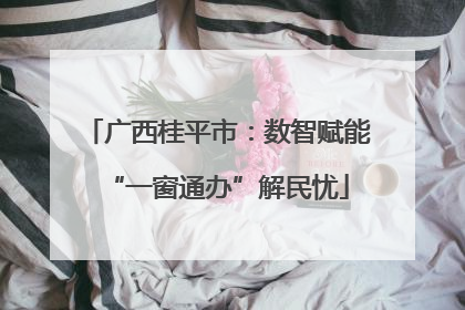 广西桂平市：数智赋能“一窗通办”解民忧