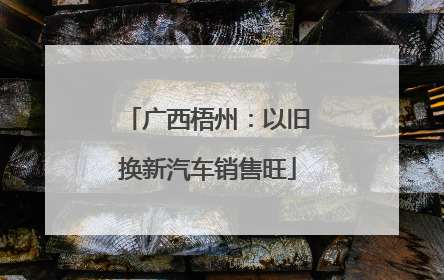广西梧州：以旧换新汽车销售旺