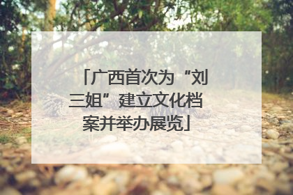 广西首次为“刘三姐”建立文化档案并举办展览