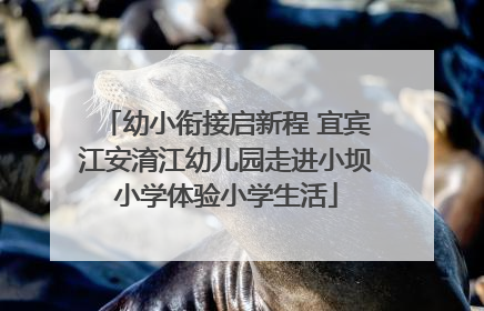 幼小衔接启新程 宜宾江安淯江幼儿园走进小坝小学体验小学生活