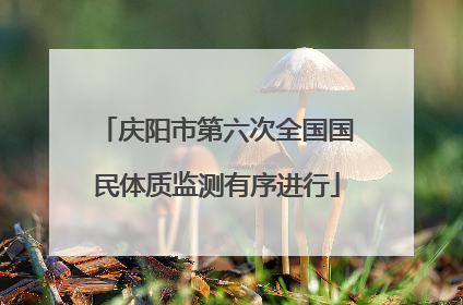 庆阳市第六次全国国民体质监测有序进行