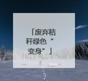 废弃秸秆绿色“变身”