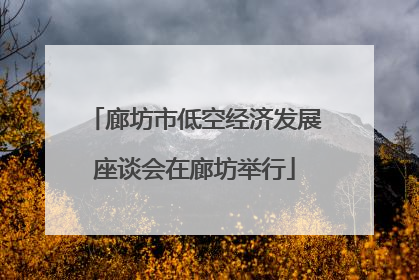 廊坊市低空经济发展座谈会在廊坊举行