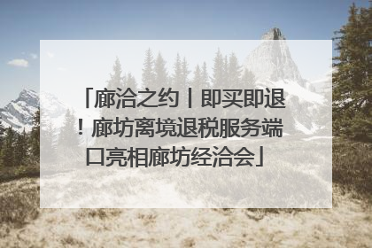 廊洽之约丨即买即退！廊坊离境退税服务端口亮相廊坊经洽会