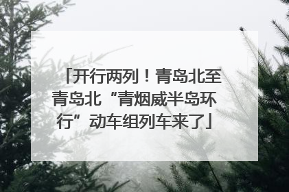 开行两列！青岛北至青岛北“青烟威半岛环行”动车组列车来了