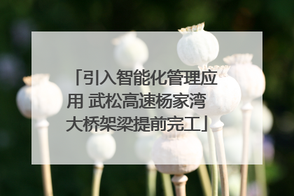 引入智能化管理应用 武松高速杨家湾大桥架梁提前完工