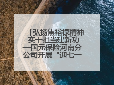 弘扬焦裕禄精神 实干担当建新功—国元保险河南分公司开展“迎七一”主题党日活动
