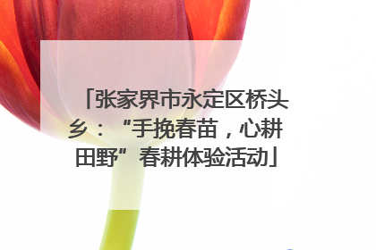 张家界市永定区桥头乡：“手挽春苗，心耕田野”春耕体验活动