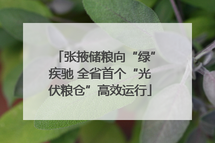 张掖储粮向“绿”疾驰 全省首个“光伏粮仓”高效运行