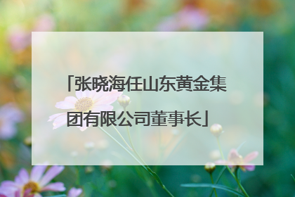 张晓海任山东黄金集团有限公司董事长