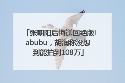 张朝阳后悔送回绝版Labubu，胡润称没想到能拍到108万