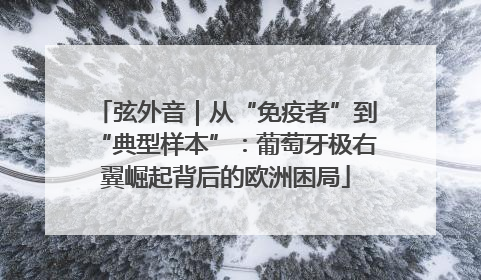 弦外音｜从“免疫者”到“典型样本”：葡萄牙极右翼崛起背后的欧洲困局