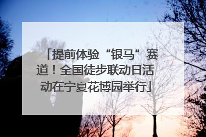 提前体验“银马”赛道！全国徒步联动日活动在宁夏花博园举行
