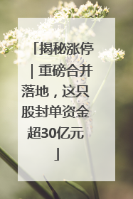 揭秘涨停｜重磅合并落地，这只股封单资金超30亿元