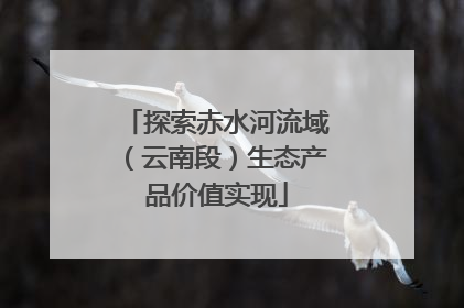 探索赤水河流域（云南段）生态产品价值实现