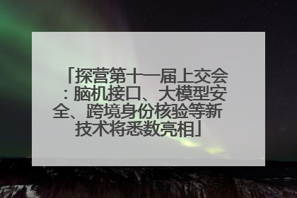 探营第十一届上交会：脑机接口、大模型安全、跨境身份核验等新技术将悉数亮相