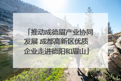 推动成德眉产业协同发展 成都高新区优质企业走进德阳和眉山