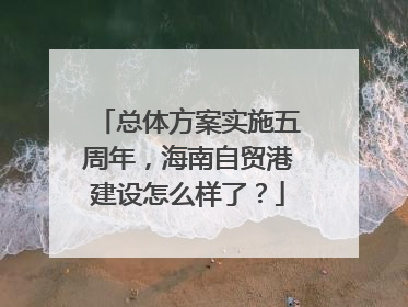 总体方案实施五周年，海南自贸港建设怎么样了？