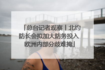总台记者观察丨北约防长会拟加大防务投入 欧洲内部分歧难掩