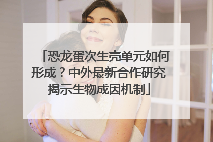 恐龙蛋次生壳单元如何形成？中外最新合作研究揭示生物成因机制