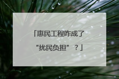 惠民工程咋成了“扰民负担”？